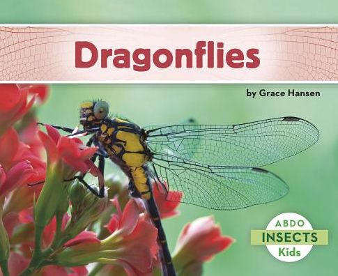 Cover for Grace Hansen · Dragonflies - Insects (Paperback Book) (2016)