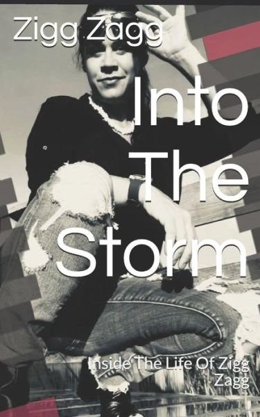 Cover for Zigg Zagg · Into the Storm (Pocketbok) (2017)