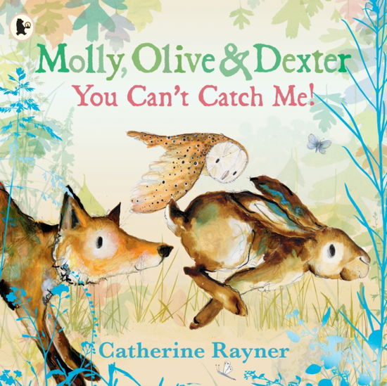 Cover for Catherine Rayner · Molly, Olive and Dexter: You Can't Catch Me! (Paperback Book) (2025)