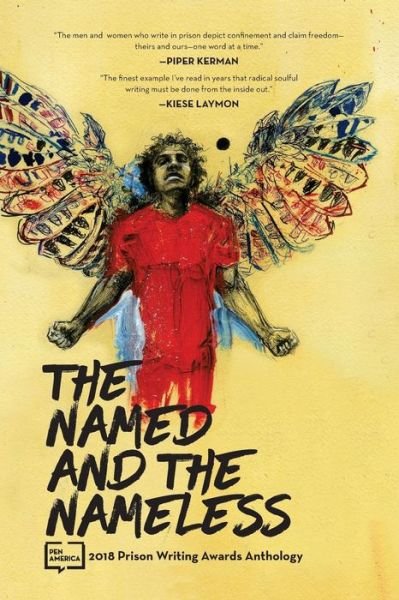 Cover for Pen America · The Named and the Nameless (Paperback Book) (2018)