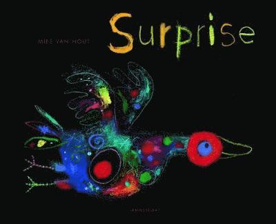 Cover for Mies Van Hout · Surprise (Hardcover Book) (2018)