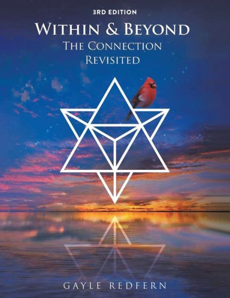 Cover for Amazon Digital Services LLC - KDP Print US · Within and Beyond (Paperback Book) (2021)