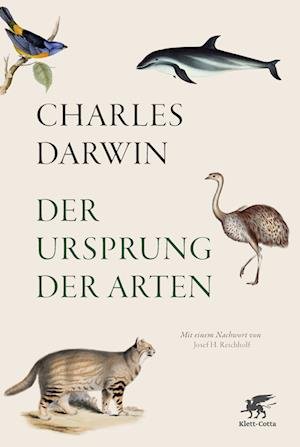 Cover for Darwin · Der Ursprung der Arten (Book)