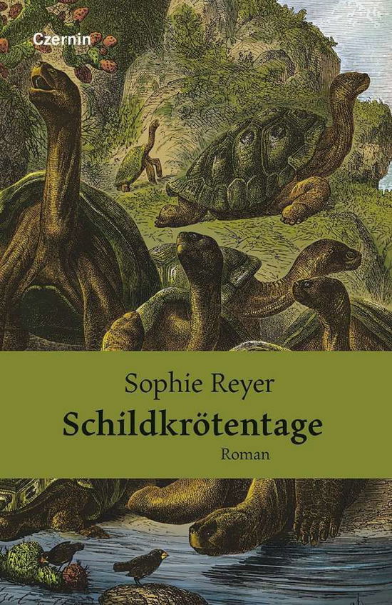 Cover for Sophie Reyer · SchildkrÃ¶tentage (Bok)