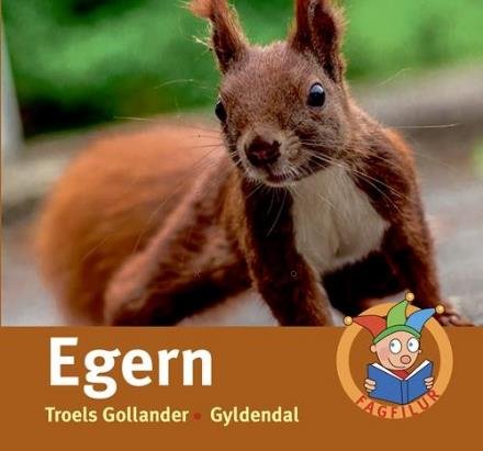 Cover for Troels Gollander · Fagfilur: Egern (Indbundet Bog) [1. udgave] (2016)