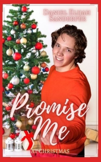 Cover for Daniel Elijah Sanderfer · Promise Me At Christmas (Paperback Book) (2020)