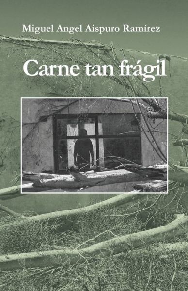 Cover for Miguel Angel Aispuro Ramírez · Carne tan fragil (Paperback Book) (2015)