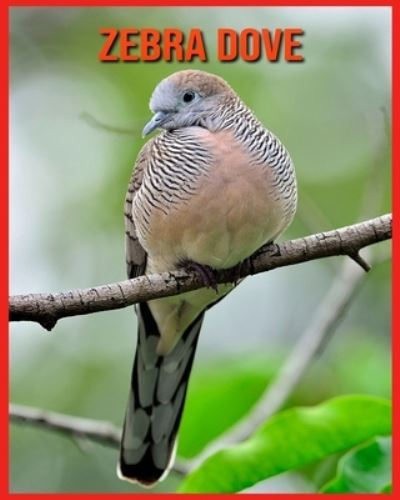 Cover for Alicia Moore · Zebra Dove (Paperback Book) (2021)