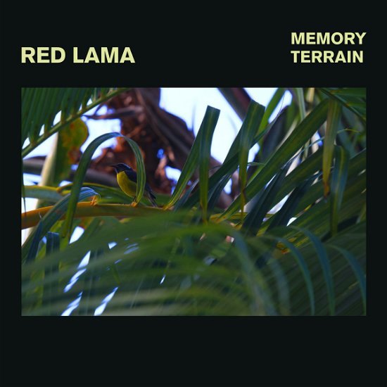 Memory Terrain - Red Lama - Musikk -  - 9958285320157 - 1. februar 2023