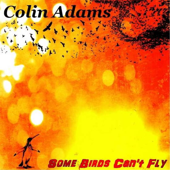 Cover for Colin Adams · Some Birds Cant Fly (CD) (2013)