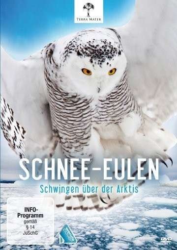 Cover for Schnee-eulen-schwingen Über Der Aktis (DVD) (2013)