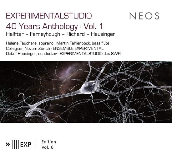 Cover for Fauchere, Nora / Ensemble Experimental · Experimental Studio Vol.6 (CD) (2015)