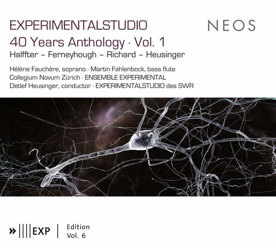 Cover for Fauchere, Nora / Ensemble Experimental · Experimental Studio Vol.6 (CD) (2015)