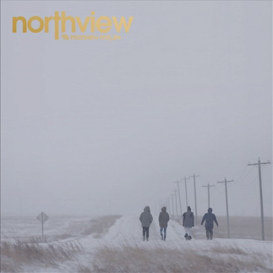 Cover for Monkey Majik · Northview &lt;limited&gt; (CD) [Japan Import edition] (2020)