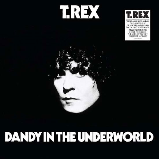 Dandy in the Underworld - Deluxe - T.rex - Muziek - Demon - 5014797898158 - 12 oktober 2018