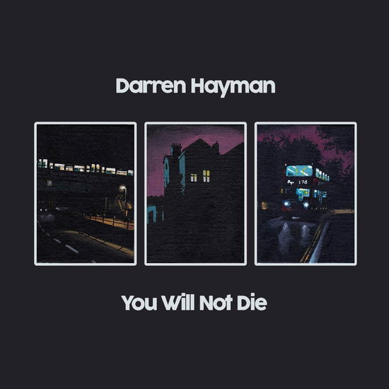 You Will Not Die - Darren Hayman - Musik - FIKA RECORDINGS - 5057805778158 - 4. November 2022