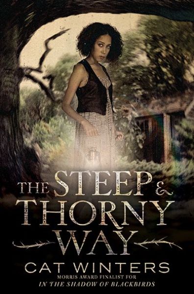 Cover for Cat Winters · The Steep and Thorny Way (Hardcover Book) (2016)