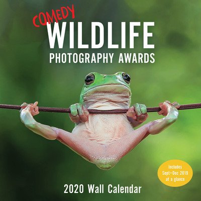 Cover for Chronicle Books · Comedy Wildlife 2020 Wall Calendar (CLOTHES) (2019)