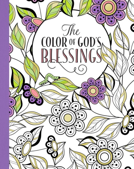 Cover for Lisa Stilwell · The Color of God's Blessings (Paperback Book) (2016)