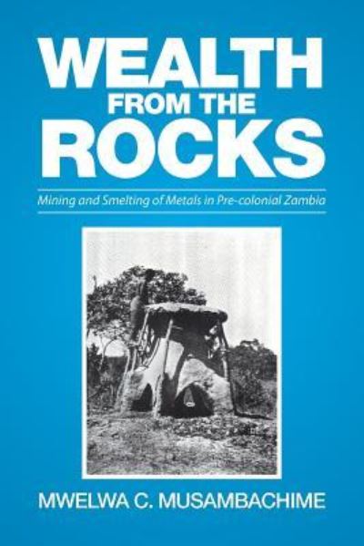 Cover for M C Musambachime · Wealth from the Rocks (Paperback Book) (2016)