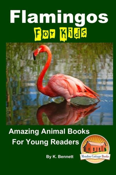 Cover for K Bennett · Flamingos for Kids Amazing Animal Books for Young Readers (Paperback Book) (2015)