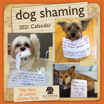 Cover for Pascale Lemire · Dog Shaming 2021 Wall Calendar (Calendar) (2020)