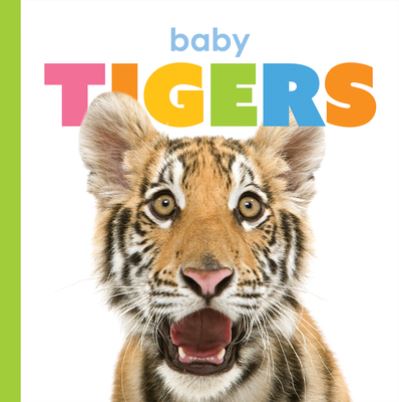 Baby Tigers - Kate Riggs - Książki - Creative Company, The - 9781628328158 - 18 lutego 2020