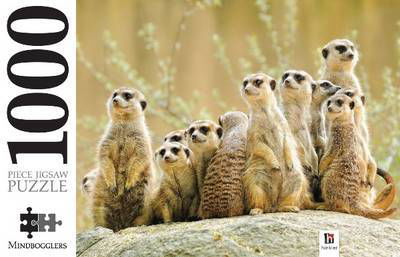 Cover for Hinkler Books · Meerkat Family 1000-piece Jigsaw - Mindbogglers Series 2 (GAME) (2012)