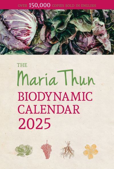 Titia Thun · Maria Thun Biodynamic Calendar (Paperback Book) (2024)