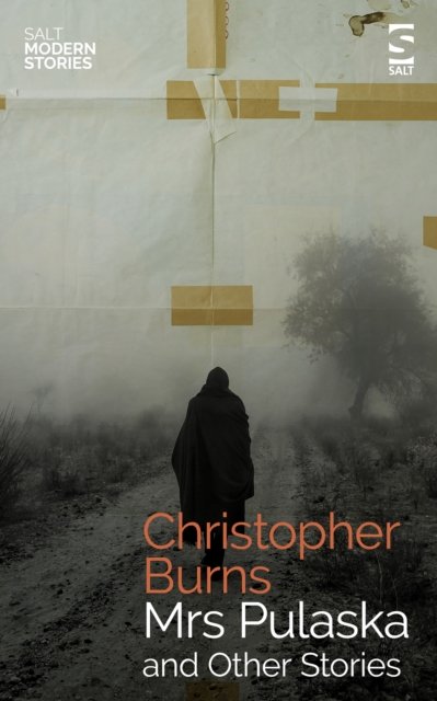 Mr Christopher Burns · Mrs Pulaska and Other Stories - Salt Modern Stories (Paperback Book) (2024)