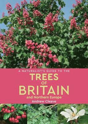 Cover for Andrew Cleave · A Naturalist's Guide to the Trees of Britain and Northern Europe (2nd edition) - Naturalist's Guide (Paperback Book) [2 Revised edition] (2019)