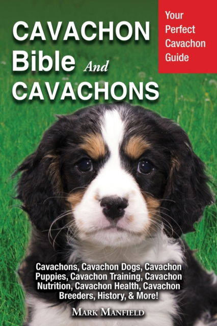 Cover for Mark Manfield · Cavachon Bible And Cavachons: Your Perfect Cavachon Guide Cavachons, Cavachon Dogs, Cavachon Puppies, Cavachon Training, Cavachon Nutrition, Cavachon Health, Cavachon Breeders, History, &amp; More! (Paperback Book) (2019)