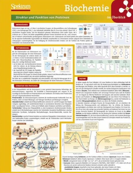 Cover for Lerntafel Biochemie im Ueberblick (Book) (2011)