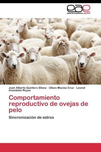 Cover for Avendano Reyes Leonel · Comportamiento Reproductivo De Ovejas De Pelo (Paperback Book) (2011)