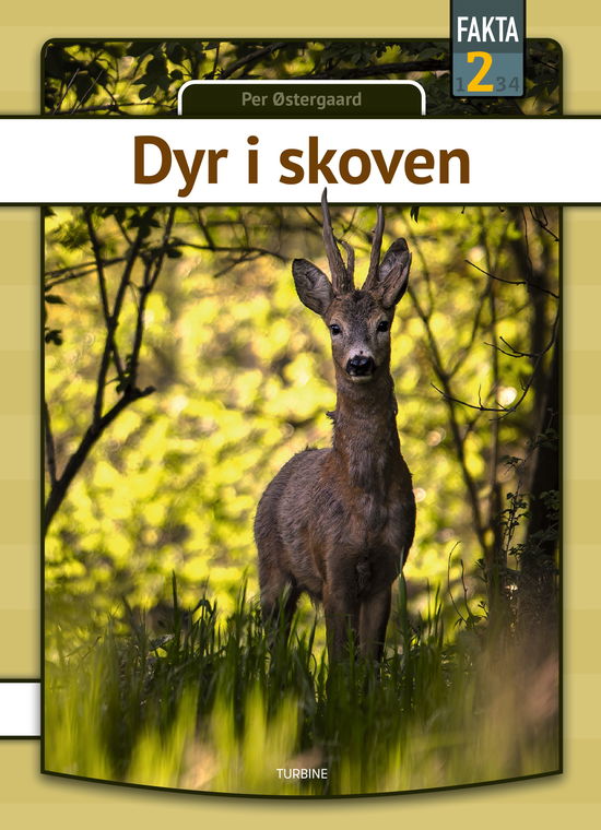 Cover for Per Østergaard · Fakta 2: Dyr i skoven (Innbunden bok) [1. utgave] (2023)