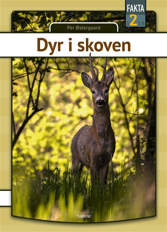 Cover for Per Østergaard · Fakta 2: Dyr i skoven (Hardcover Book) [1th edição] (2023)