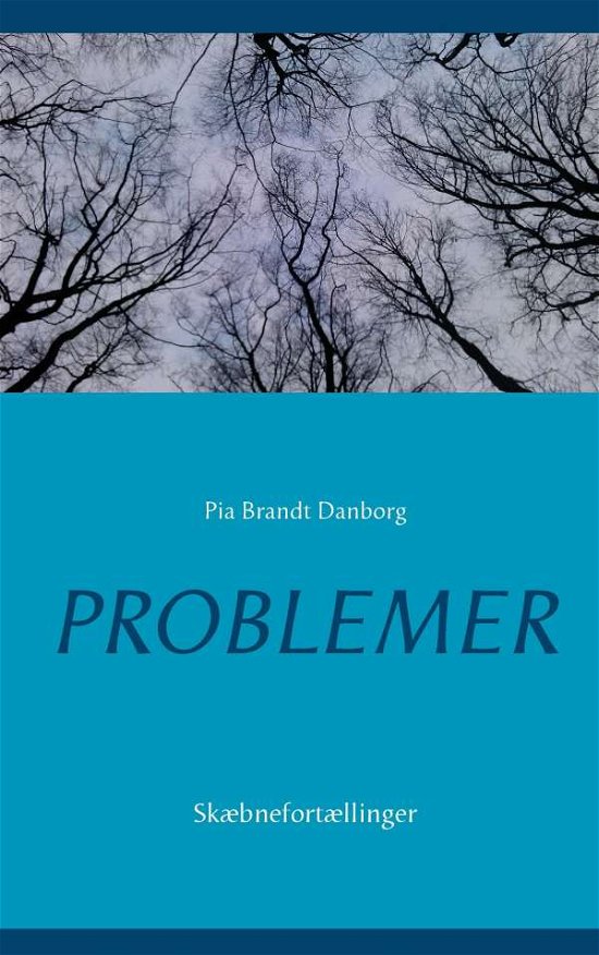 Cover for Pia Brandt Danborg · Problemer (Paperback Book) [1e uitgave] (2016)