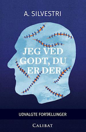 Jeg ved godt, du er der - A. Silvestri - Boeken - Calibat - 9788793728158 - 14 januari 2019