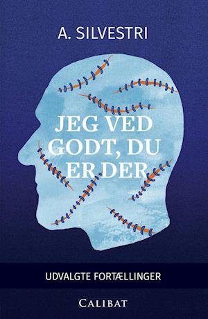 Cover for A. Silvestri · Jeg ved godt, du er der (Pocketbok) [1. utgave] (2019)