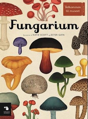 Cover for Katie Scott &amp; Ester Gaya · Velkommen til museet: Fungarium (Hardcover bog) [1. udgave] (2021)