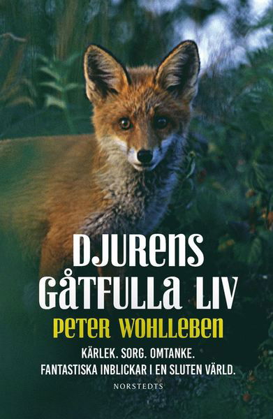 Djurens gåtfulla liv - Kärlek. Sorg. Omtanke : fantastiska inblickar i en sluten värld - Peter Wohlleben - Bøker - Norstedts - 9789113082158 - 21. august 2017