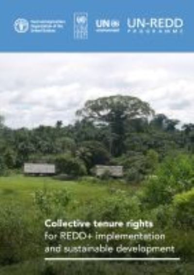 Collective tenure rights for REDD+ implementation and sustainable development - Amanda Bradley - Books - Food & Agriculture Organization of the U - 9789251340158 - April 30, 2021