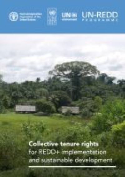 Cover for Amanda Bradley · Collective tenure rights for REDD+ implementation and sustainable development (Paperback Book) (2021)