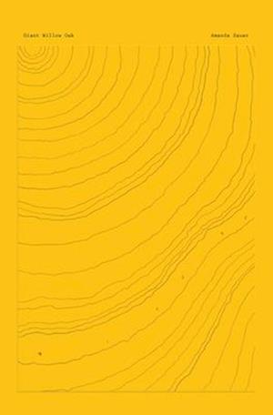 Cover for Amanda Sauer · Giant Willow Oak (Paperback Book) (2025)