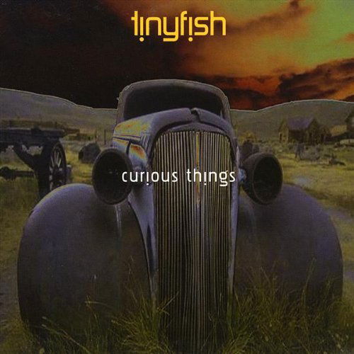 Cover for Tinyfish · Curious Things (CD) (2009)