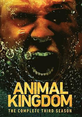 Cover for Animal Kingdom: Complete Third Season (DVD) (2019)