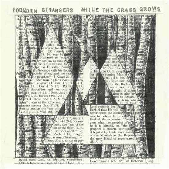 While the Grass Grows - Forlorn Strangers - Musik -  - 0884501980159 - 17. September 2013