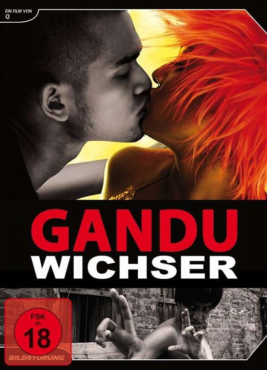 Cover for Q · Gandu-wichser (DVD) [Limited edition] (2012)