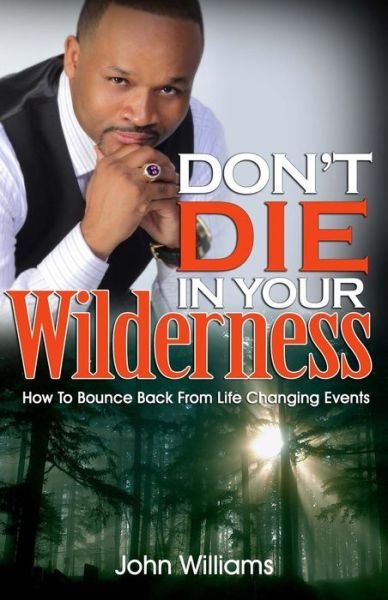 Don't Die in Your Wilderness: How to Bounce Back from Life Changing Events - John Williams - Livres - Jonathan Williams - 9780615845159 - 19 juillet 2013