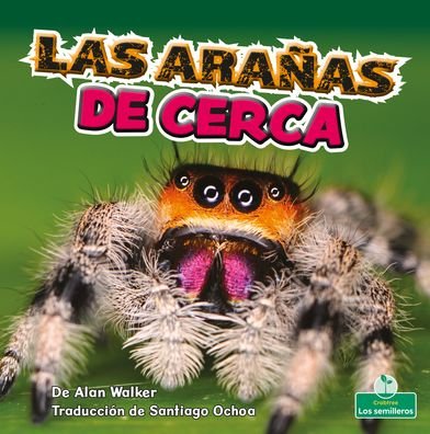 Cover for Alan Walker · Las Aranas de Cerca (Hardcover bog) (2022)